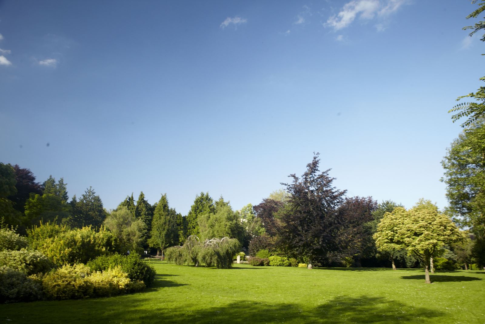 Linda Vista Gardens