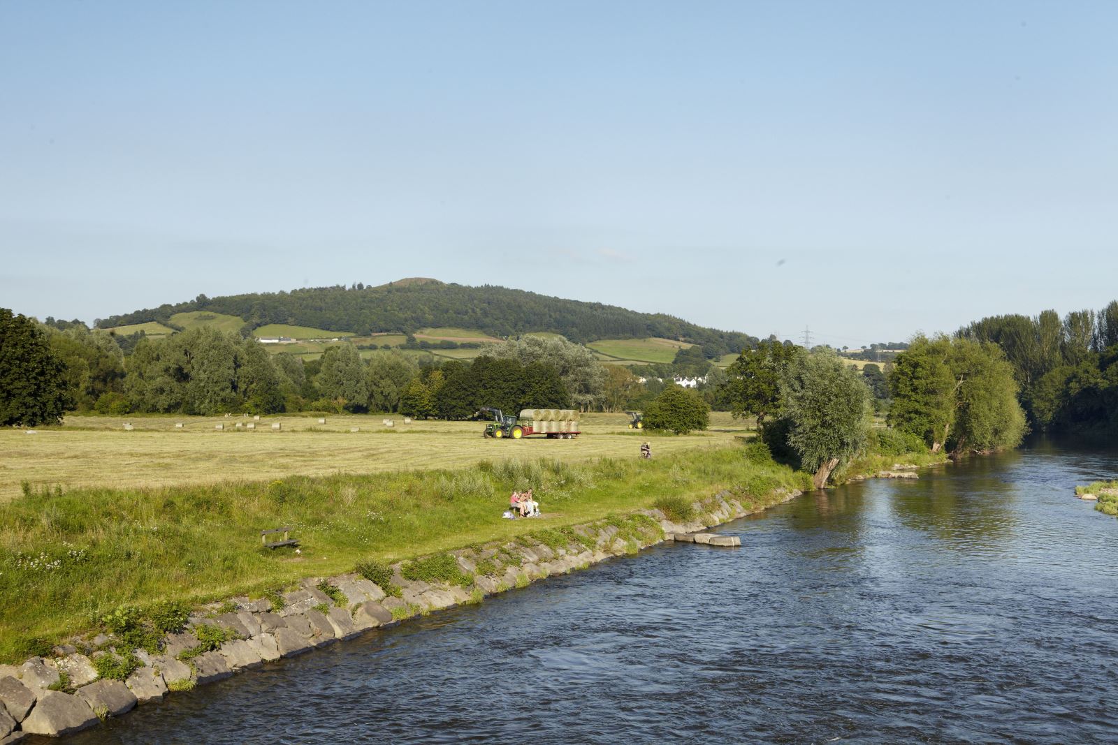 Castle Meadows