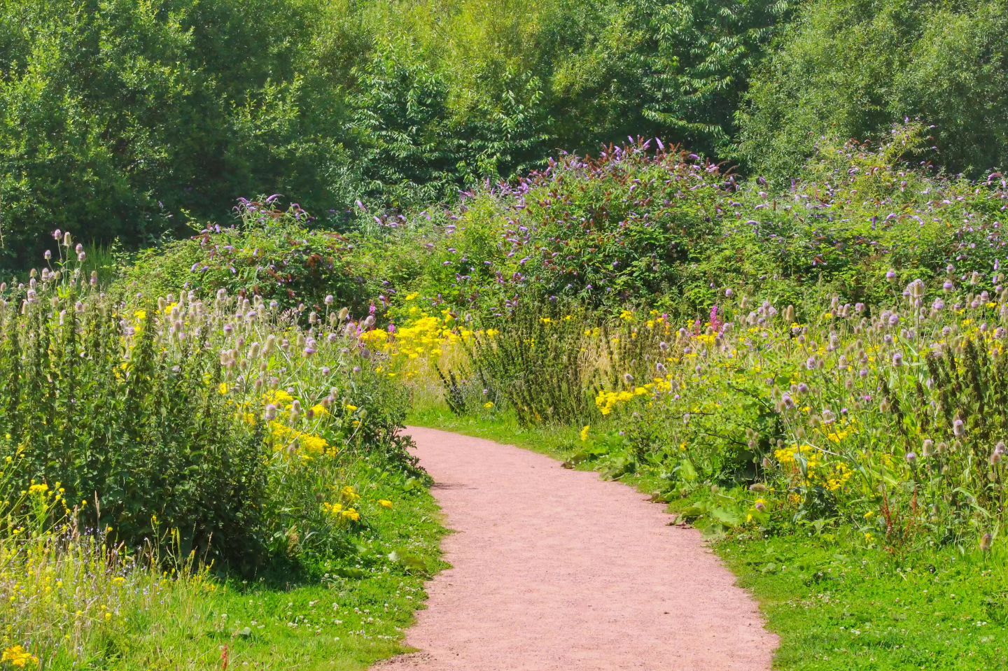 Rogiet Countryside Park by @welshgirl_adventures